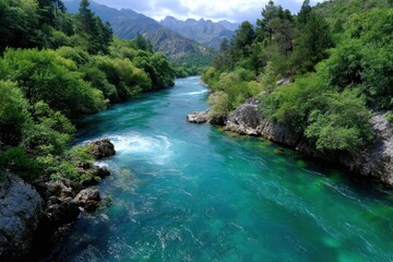 Obraz premium Scenic river flowing through lush green forest in a mountain lan