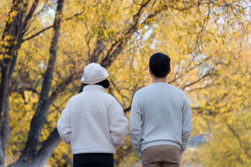 Obraz premium Rear view of couple standing together in autumn trees with golden yellow leaves in natural park