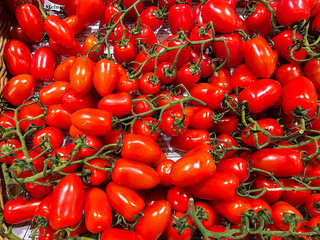 Top view of fresh ripe cherry tomatoes on vines at a farmers market in Riga, Latvia