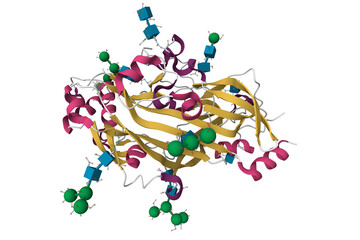 Crystal structure of lysosome membrane protein 2. 3D cartoon model, secondary structure color scheme, pdb 4q4f