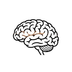 Brain power illustration for science and medicine