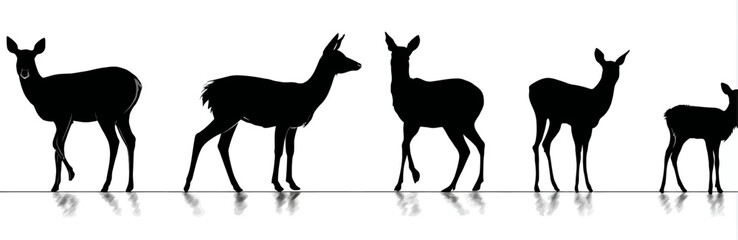 Silhouettes of five deer in different poses against a white background, with subtle reflections
