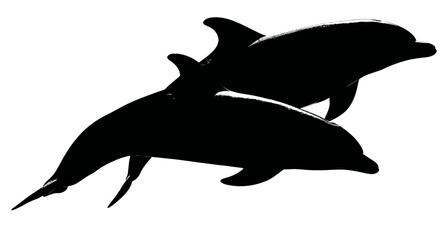 A black and white image of two dolphins leaping through the water, silhouette on a white backdrop