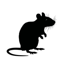 Silhouette of a rat in profile, depicted in solid black against a white background