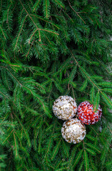 Sparkling Christmas balls hang among lush green spruce branches