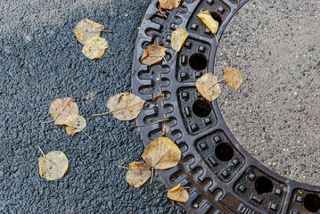 Kanaldeckel mit Laubfall