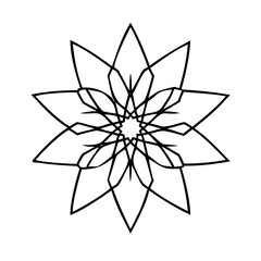Intricate geometric flower with symmetrical design