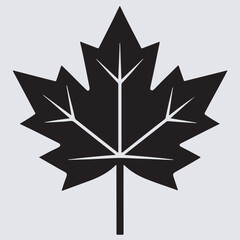 maple leaf silhouette vector art illustration