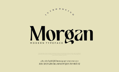 Elegant Font Uppercase Lowercase Number And Ampersand. Classic Lettering Minimal Fashion Designs. Typography modern serif fonts regular decorative vintage concept. vector illustration

