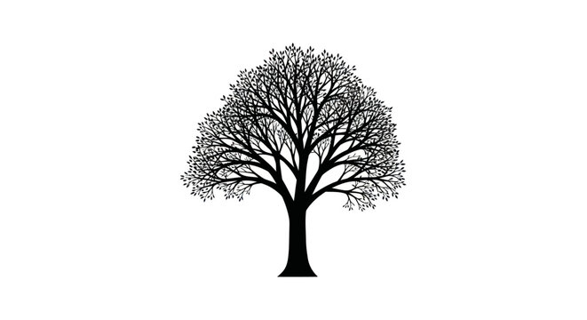 Black silhouette of a large leafless deciduous tree with intricate branches.