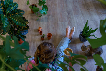 A woman surrounded by several houseplants. 