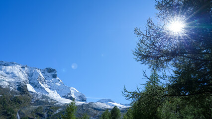 Majestic snow-capped mountains rise against a clear blue sky, with sunlight filtering through lush green trees, creating a serene and tranquil natural landscape