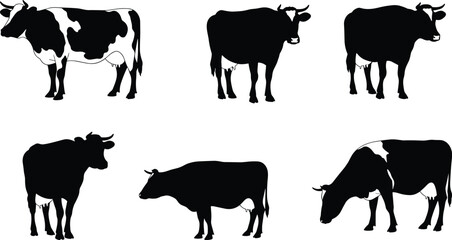 Cow silhouette vector illustration with six black and white patterned cattle in different postures, farm animal design, rural agriculture livestock art