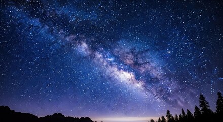 Milky Way galaxy with stars and trees silhouette