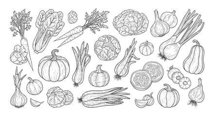 Fototapeta premium A collection of hand-drawn healthy root vegetables and leafy greens arranged artistically.