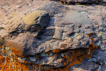 Textured rock surface adorned with vibrant orange and grey lichen. Rugged outdoor setting showcases natural beauty of rocky terrain under daylight.
