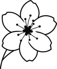 a delicate cherry blossom opening with small clock