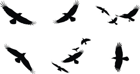 Flying bird silhouette vector illustration with nine black crows or ravens in motion, detailed wings, wildlife nature design, minimal animal art concept