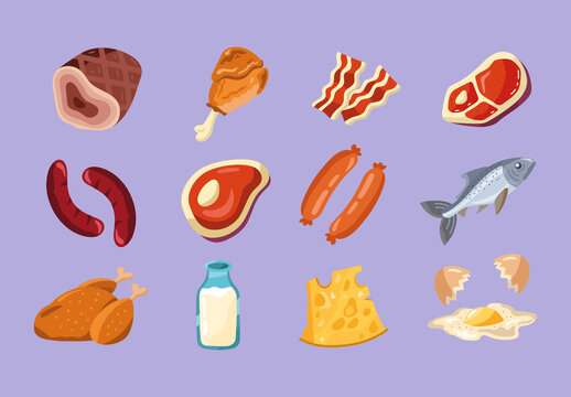 Colorful Healthy Food Protein Illustrations Set