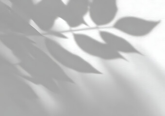 Close-up of the shadow from leaves on a white background