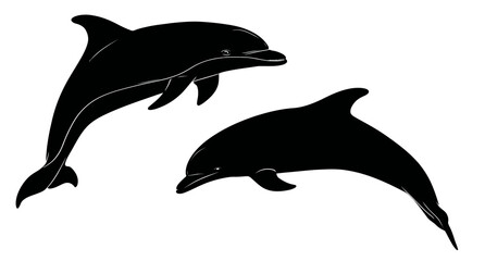 A pair of black dolphins in silhouette on a white background, one leaping, the other angled down