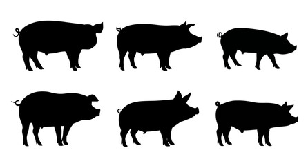Six black silhouettes of pigs on a white background. Each in a standing profile pose