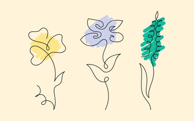 Pastel minimal floral duo, Elegant botanical line art, Soft nature bloom sketch