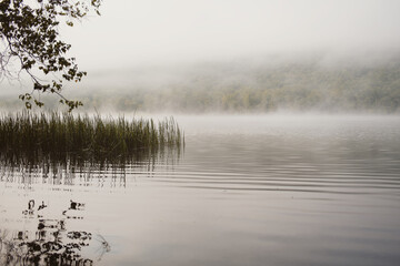 misty lake