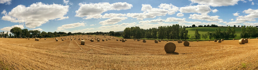 Panoramic view of harvested field with hay bales under a bright blue sky