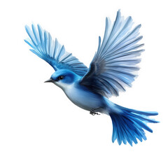 Obraz premium A majestic bluebird in full flight, isolated on transparent background, showcasing its vibrant plumage and elegant form, a symbol of hope and the beauty of the natural world