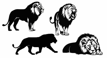 Lion Silhouette Set on White