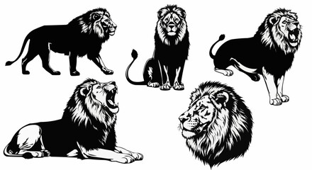 Lion Silhouette Set on White