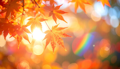 光に包まれた紅葉の葉 | Autumn Leaves Illuminated by Light