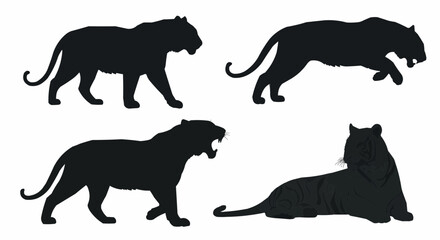 Tiger Silhouette Set on White