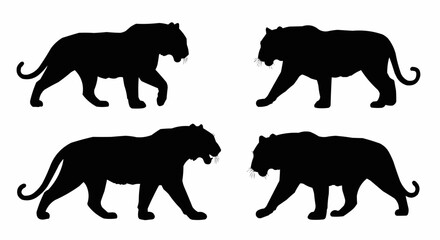 Tiger Silhouette Set on White