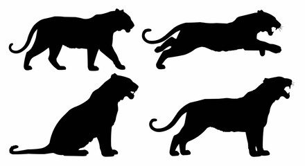 Tiger Silhouette Set on White