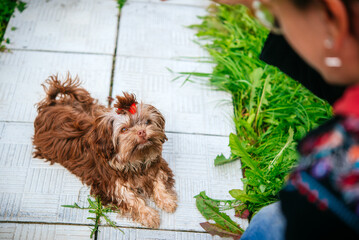 Fototapete bei efototapeten.de bestellen   