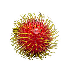 Rambutan Fruit with Red Spikes and Water Droplet on Black Background