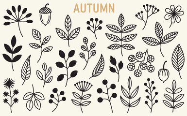 Fototapeta premium Hand-drawn Autumn Botanical Elements Collection - Fall Leaves and Berries Vector Doodles