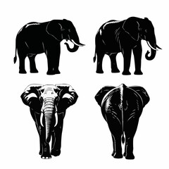 Tiger Silhouette Set on White