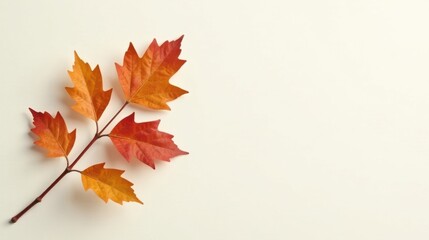 Fototapeta premium Autumnal Branch with Vibrant Red and Orange Leaves on a Smooth, Off-White Background, Perfect for Seasonal Designs and Fall-Themed Projects