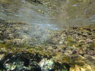 Ocean blue underwater with sunrays, Underwater Sea Deep Water Abstract Sunshine, sea wave , clean waters in summer time, Natural underwater seascape, sand on ocean floor and water surface with sunligh