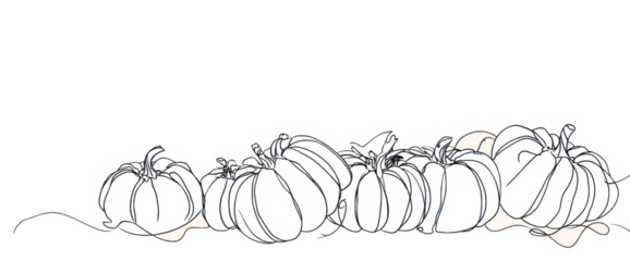 Line art illustration of pumpkins simple vector drawing for fall designs isolated on white background