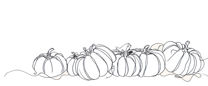 Line art illustration of pumpkins simple vector drawing for fall designs isolated on white background