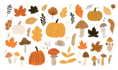 Autumn harvest illustration set featuring pumpkins mushrooms and leaves perfect for seasonal designs and Thanksgiving themes