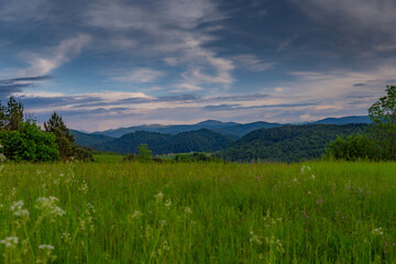 Obraz premium Bieszczady Mountains in spring 