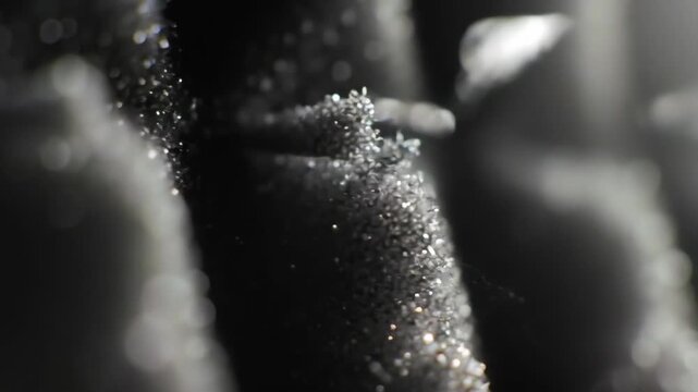 Close-up of a black, porous filter with glittering specks and shallow depth of field, technology, industry, material.