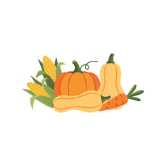 Autumn harvest vegetables pumpkins corn squash carrots seasonal food illustration for thanksgiving and fall celebrations vector