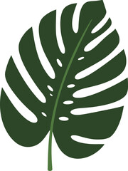Monstera leaf tropical plant element isolated green botanical vector