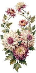 Elegant watercolor painting of chrysanthemum flowers with lush foliage on white background
